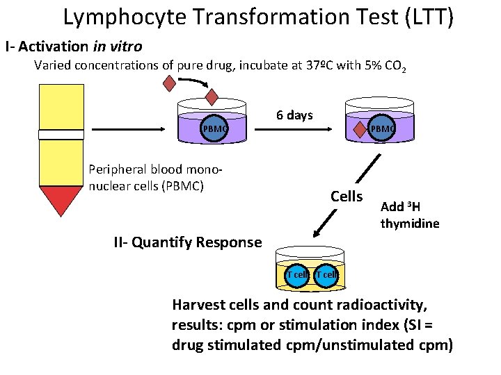 Lymphocyte Transformation Test (LTT) I- Activation in vitro Varied concentrations of pure drug, incubate