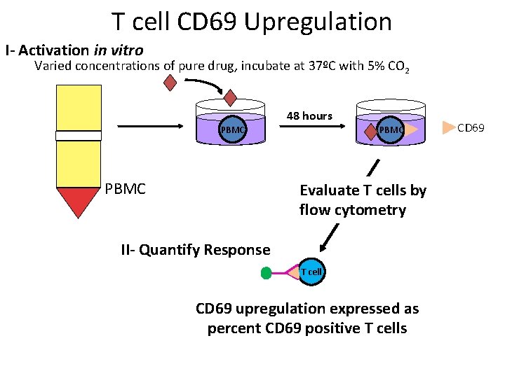 T cell CD 69 Upregulation I- Activation in vitro Varied concentrations of pure drug,