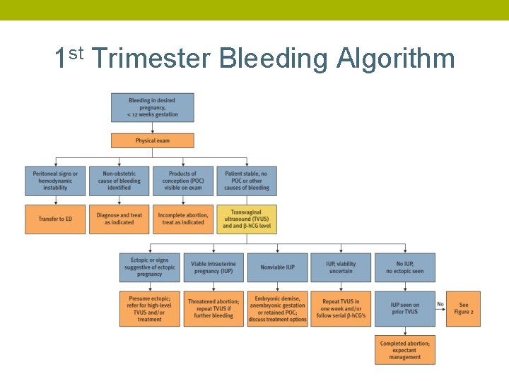 1 st Trimester Bleeding Algorithm 