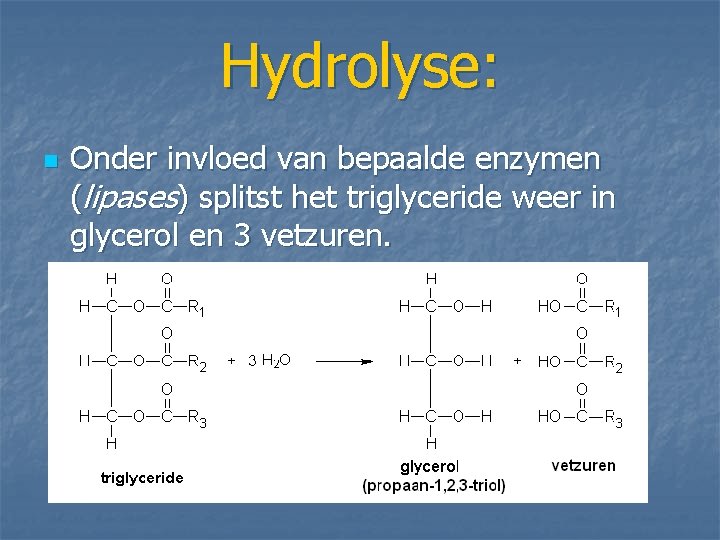 Hydrolyse: n Onder invloed van bepaalde enzymen (lipases) splitst het triglyceride weer in glycerol Hydrolyse: n Onder invloed van bepaalde enzymen (lipases) splitst het triglyceride weer in glycerol