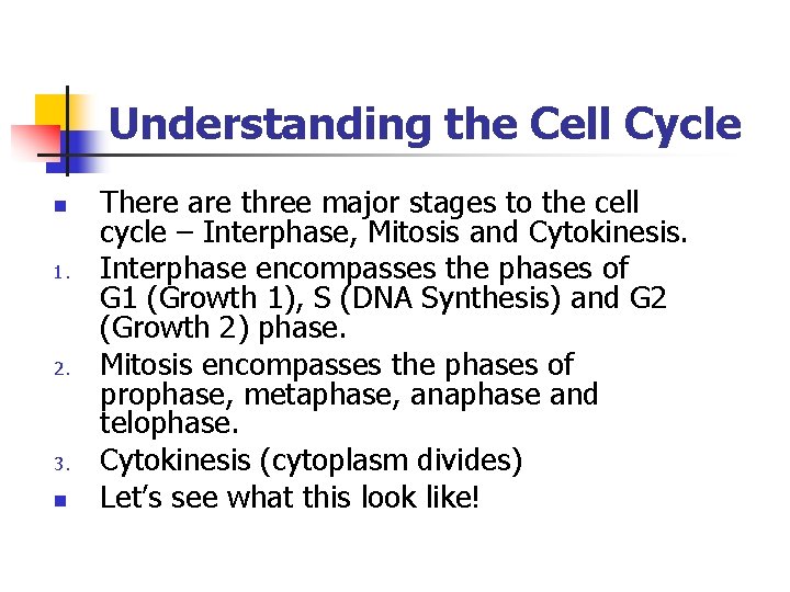 Understanding the Cell Cycle n 1. 2. 3. n There are three major stages