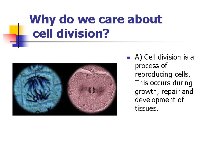 Why do we care about cell division? n A) Cell division is a process