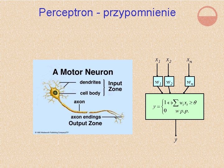 Perceptron - przypomnienie x 1 x 2 xn w 1 w 2 wn y
