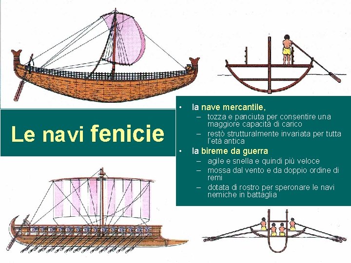 Le navi fenicie • la nave mercantile, • la bireme da guerra – tozza