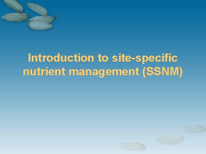 Introduction to site-specific nutrient management (SSNM) 