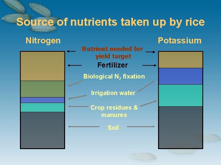 Source of nutrients taken up by rice Nitrogen Nutrient needed for yield target Fertilizer