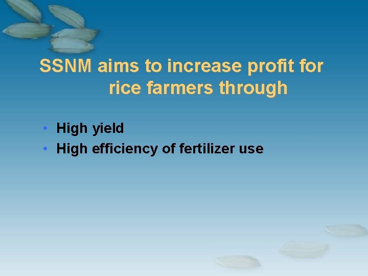 SSNM aims to increase profit for rice farmers through • High yield • High