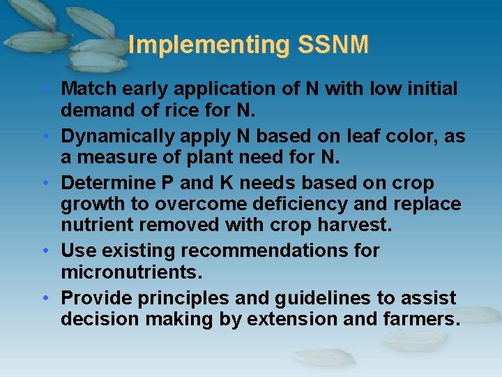 Implementing SSNM • Match early application of N with low initial demand of rice