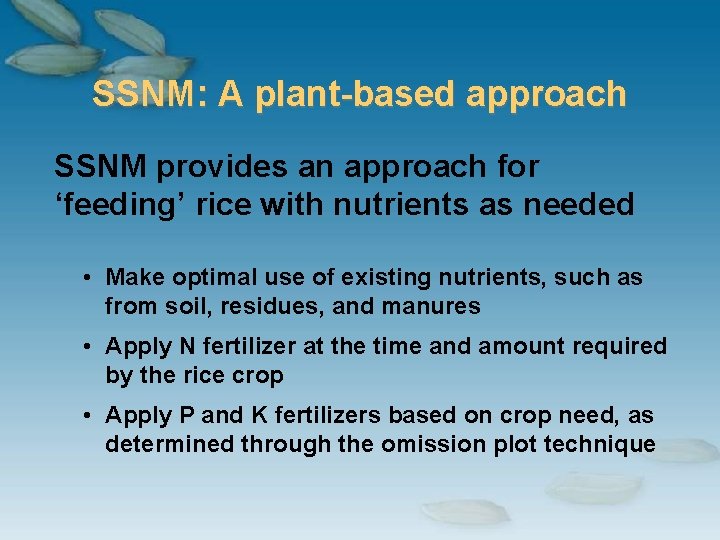 SSNM: A plant-based approach SSNM provides an approach for ‘feeding’ rice with nutrients as