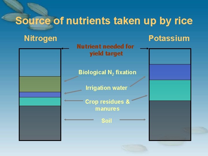 Source of nutrients taken up by rice Nitrogen Potassium Nutrient needed for yield target