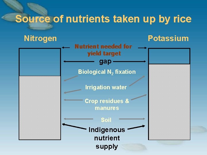Source of nutrients taken up by rice Nitrogen Potassium Nutrient needed for yield target