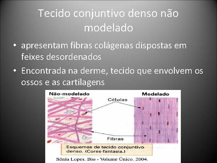 Tecido conjuntivo denso não modelado • apresentam fibras colágenas dispostas em feixes desordenados • Tecido conjuntivo denso não modelado • apresentam fibras colágenas dispostas em feixes desordenados •