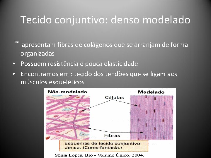 Tecido conjuntivo: denso modelado * apresentam fibras de colágenos que se arranjam de forma Tecido conjuntivo: denso modelado * apresentam fibras de colágenos que se arranjam de forma