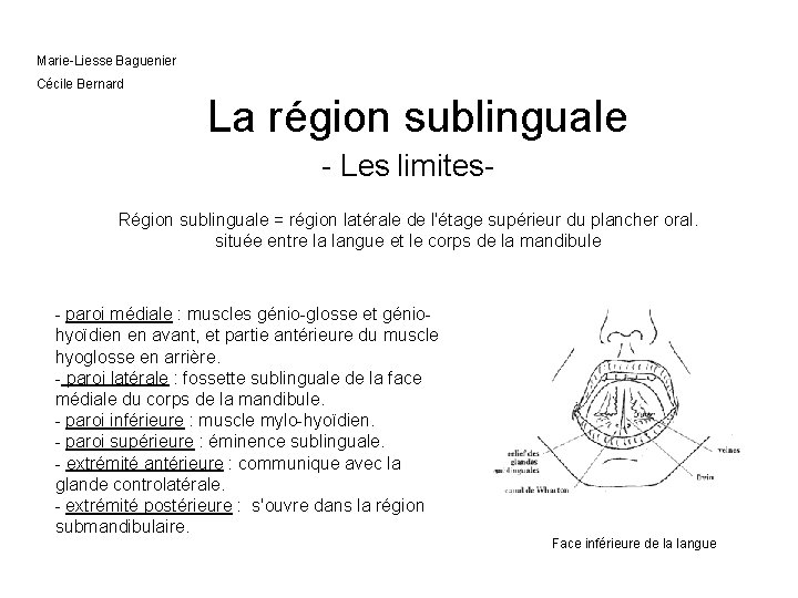 Marie-Liesse Baguenier Cécile Bernard La région sublinguale - Les limites. Région sublinguale = région