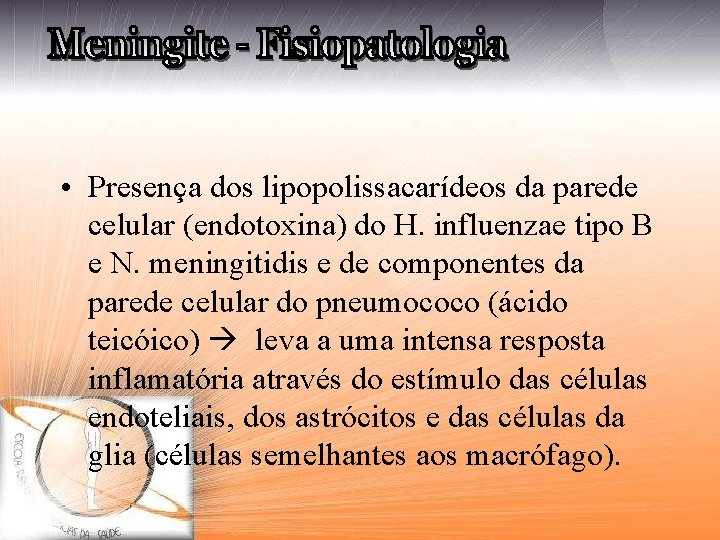  • Presença dos lipopolissacarídeos da parede celular (endotoxina) do H. influenzae tipo B