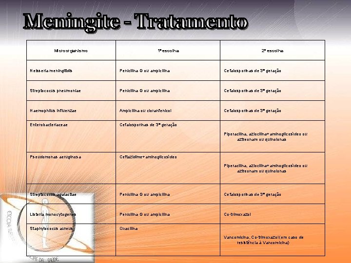 Microorganismo 1ª escolha 2ª escolha Neisseria meningitidis Penicilina G ou ampicilina Cefalosporinas de 3ª