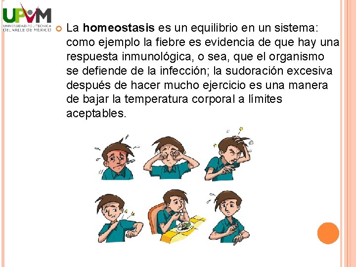  La homeostasis es un equilibrio en un sistema: como ejemplo la fiebre es