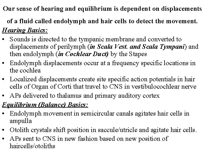 Our sense of hearing and equilibrium is dependent on displacements of a fluid called