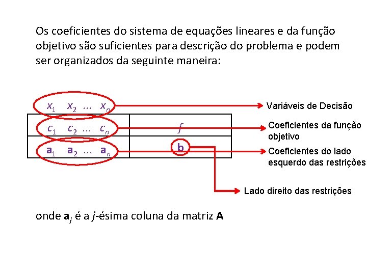 Os coeficientes do sistema de equações lineares e da função objetivo são suficientes para