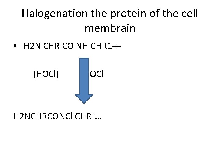 Halogenation the protein of the cell membrain • H 2 N CHR CO NH