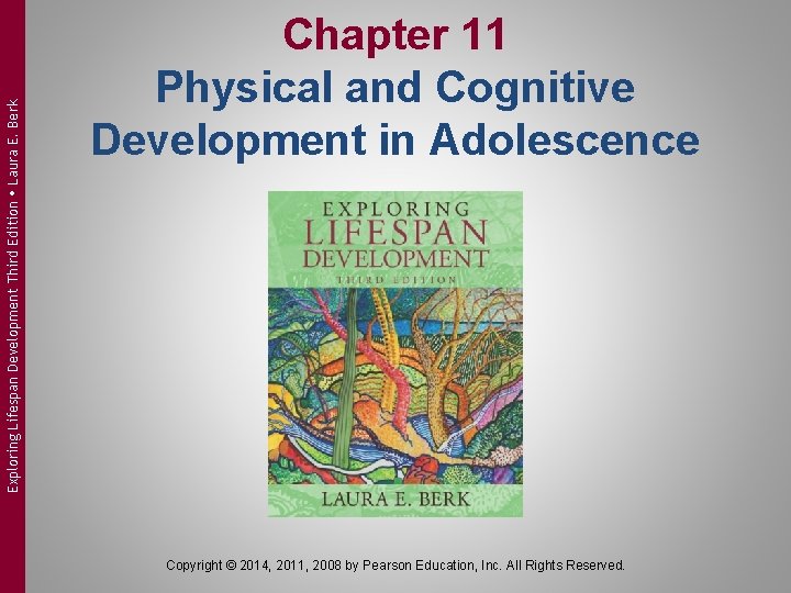 Exploring Lifespan Development Third Edition Laura E. Berk Chapter 11 Physical and Cognitive Development