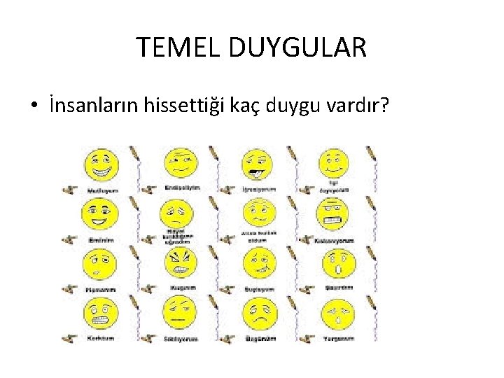 TEMEL DUYGULAR • İnsanların hissettiği kaç duygu vardır? 