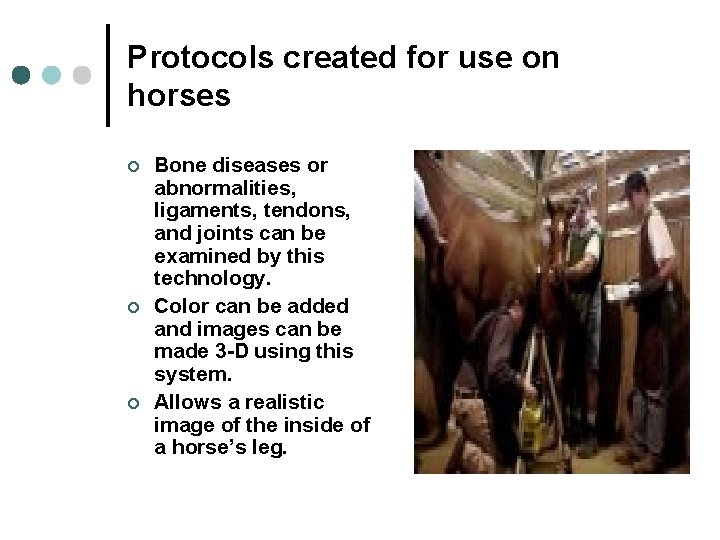 Protocols created for use on horses ¢ ¢ ¢ Bone diseases or abnormalities, ligaments,