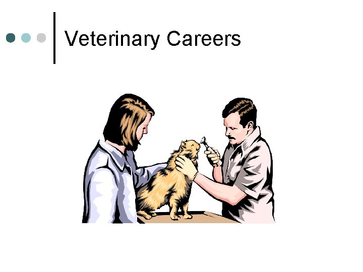 Veterinary Careers 
