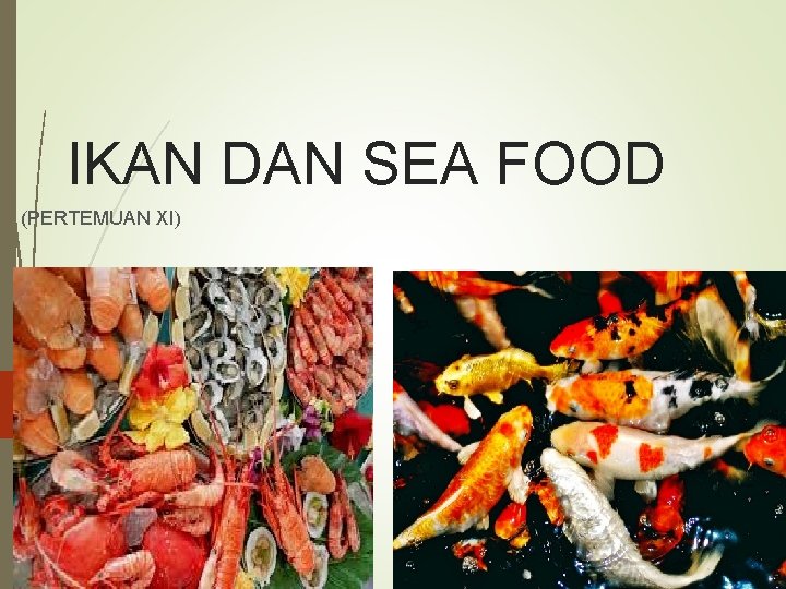 IKAN DAN SEA FOOD (PERTEMUAN XI) 