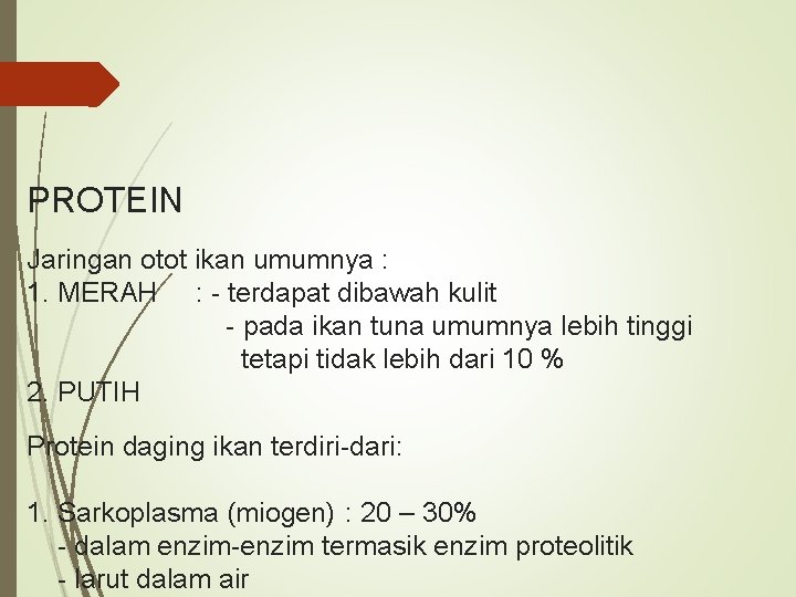 PROTEIN Jaringan otot ikan umumnya : 1. MERAH : - terdapat dibawah kulit -