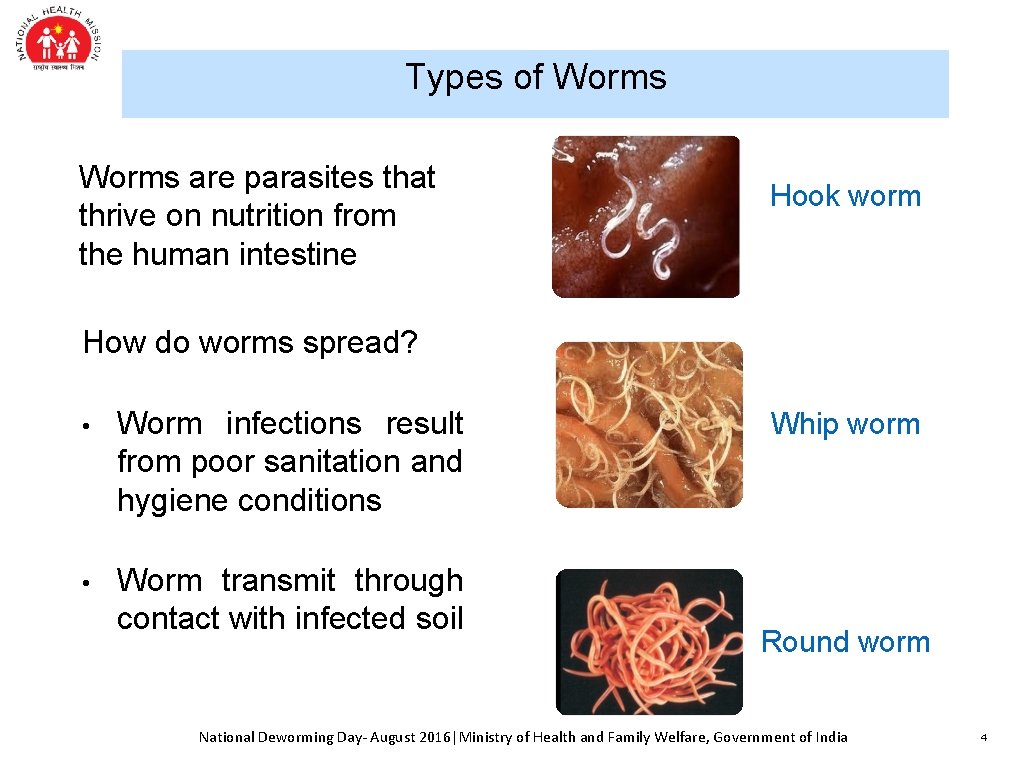 Types of Worms are parasites that thrive on nutrition from the human intestine Hook