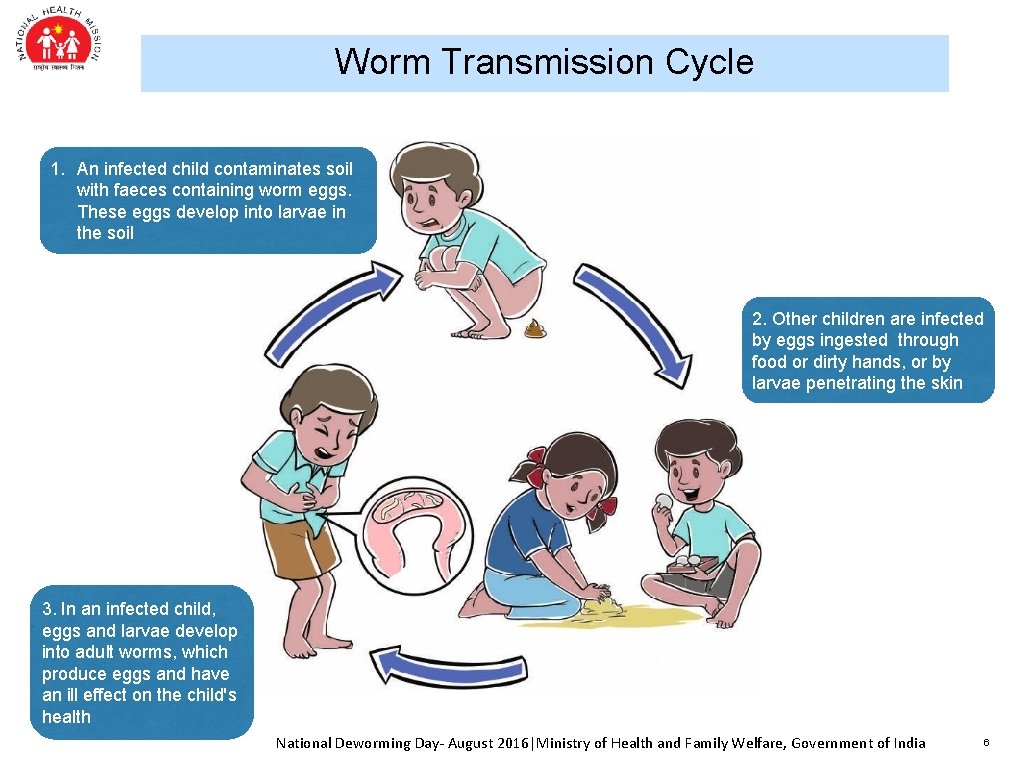 Worm Transmission Cycle 1. An infected child contaminates soil with faeces containing worm eggs.