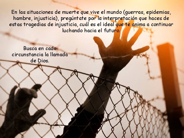 En las situaciones de muerte que vive el mundo (guerras, epidemias, hambre, injusticia), pregúntate