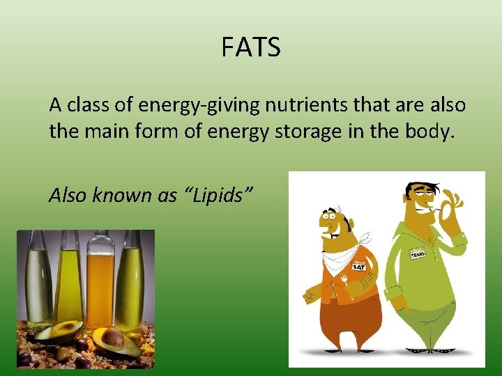 FATS A class of energy-giving nutrients that are also the main form of energy