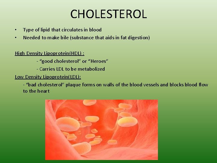 CHOLESTEROL • • Type of lipid that circulates in blood Needed to make bile