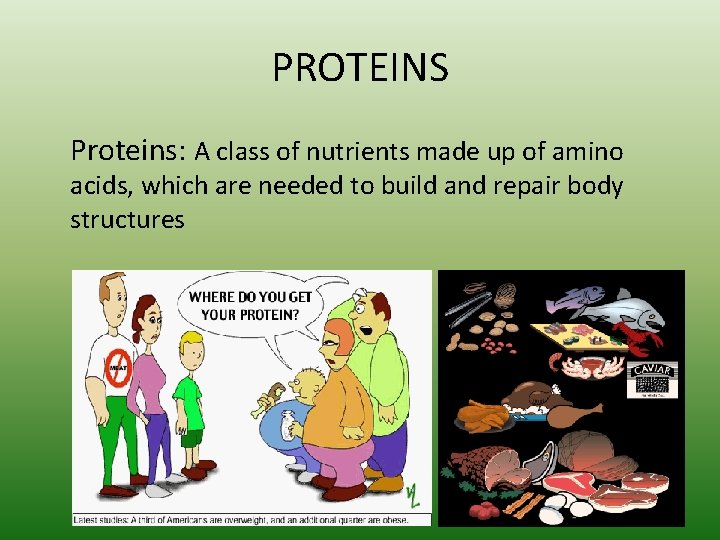 PROTEINS Proteins: A class of nutrients made up of amino acids, which are needed