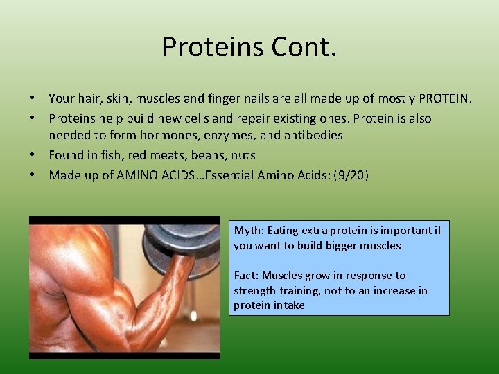 Proteins Cont. • Your hair, skin, muscles and finger nails are all made up