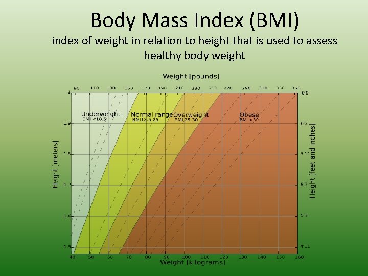 Body Mass Index (BMI) index of weight in relation to height that is used