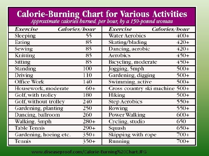 www. diseaseproof. com/Calorie-Burning%20 Chart. JPG 