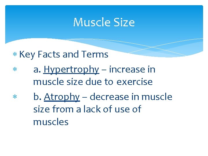 Muscle Size Key Facts and Terms a. Hypertrophy – increase in muscle size due