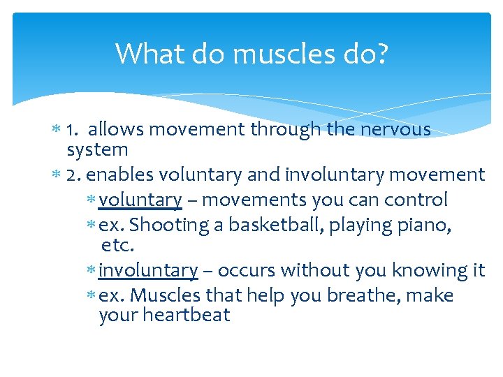 What do muscles do? 1. allows movement through the nervous system 2. enables voluntary