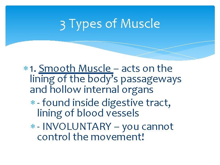 3 Types of Muscle 1. Smooth Muscle – acts on the lining of the