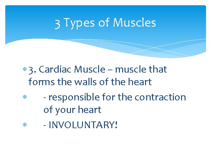 3 Types of Muscles 3. Cardiac Muscle – muscle that forms the walls of