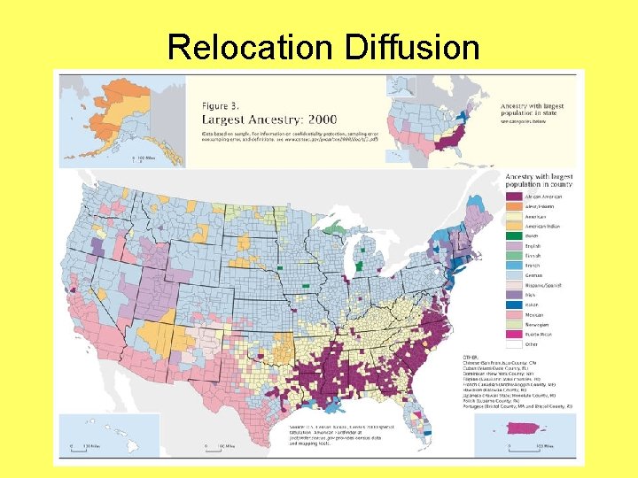 Relocation Diffusion 