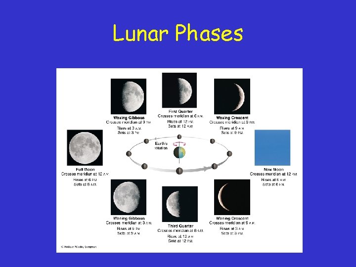 Lunar Phases 