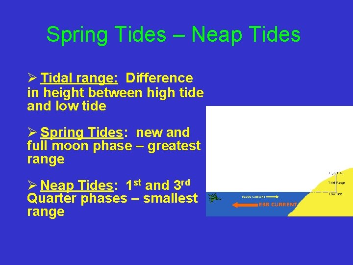 Spring Tides – Neap Tides Ø Tidal range: Difference in height between high tide