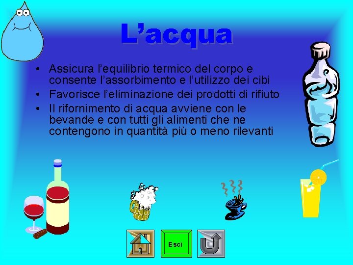 L’acqua • Assicura l’equilibrio termico del corpo e consente l’assorbimento e l’utilizzo dei cibi