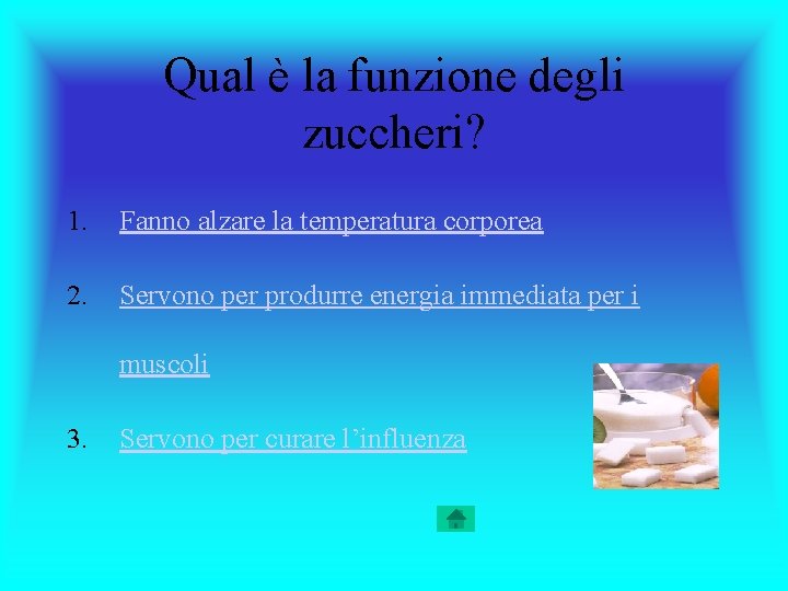 Qual è la funzione degli zuccheri? 1. Fanno alzare la temperatura corporea 2. Servono
