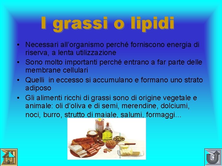 I grassi o lipidi • Necessari all’organismo perché forniscono energia di riserva, a lenta