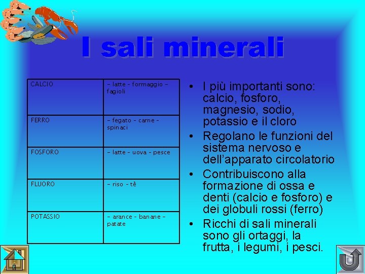 I sali minerali CALCIO - latte – formaggio fagioli FERRO - fegato – carne